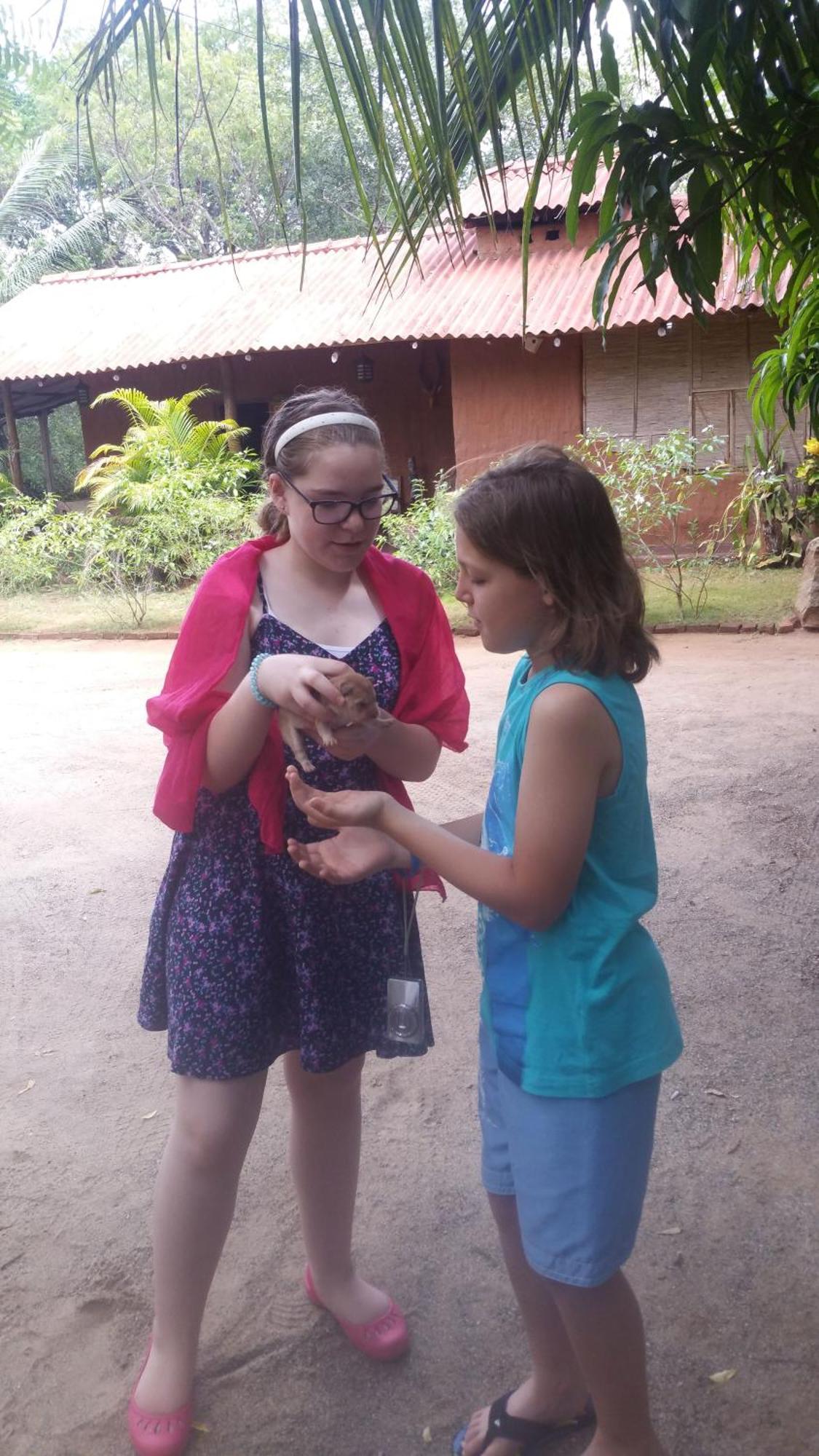 Heina Nature Resort - Eco Home And Yala Safari カタラガマ エクステリア 写真