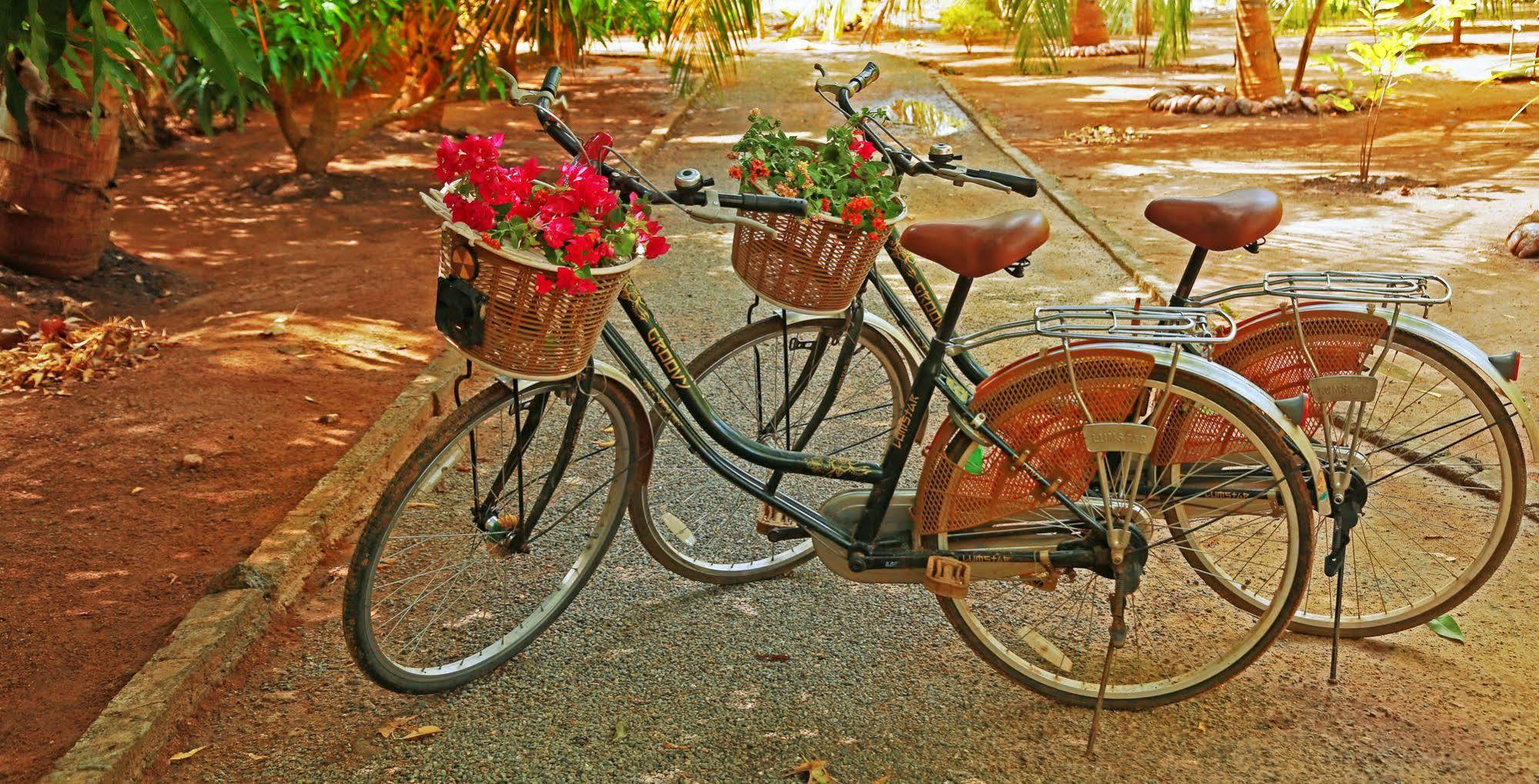 Heina Nature Resort - Eco Home And Yala Safari カタラガマ エクステリア 写真